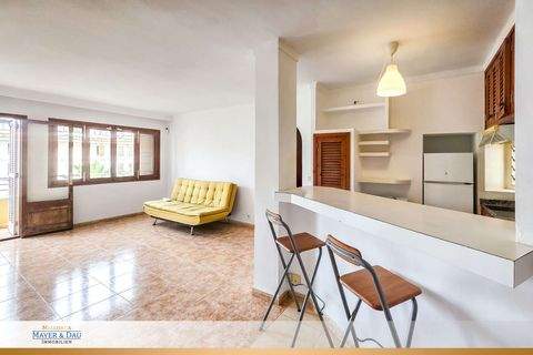 Alcudia / Port d'Alcúdia Wohnungen, Alcudia / Port d'Alcúdia Wohnung kaufen