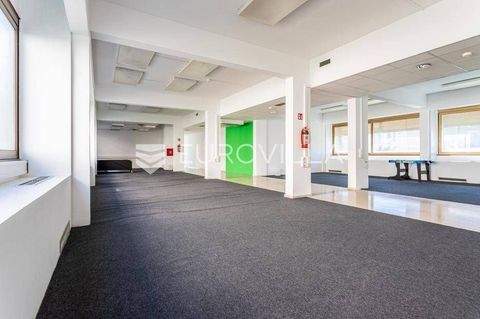 Manus - Bol - Gripe Büros, Büroräume, Büroflächen 