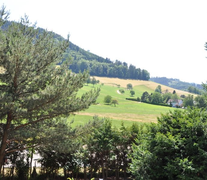 Immobilie