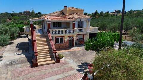 ???????????? ???????? Häuser, ???????????? ???????? Haus kaufen