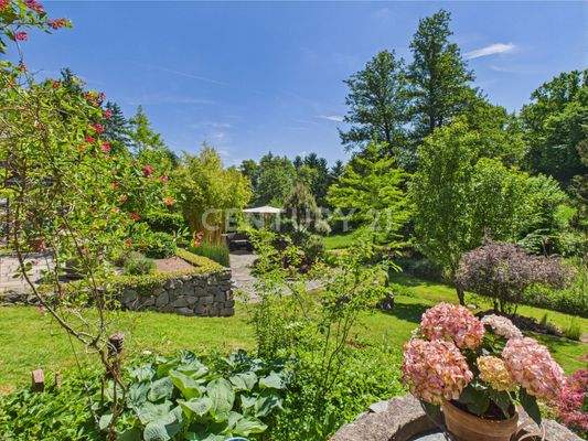 Sehr schön angelegter Garten