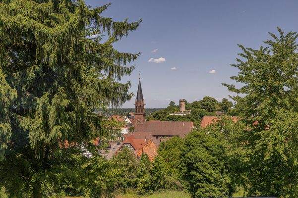 Ausblick