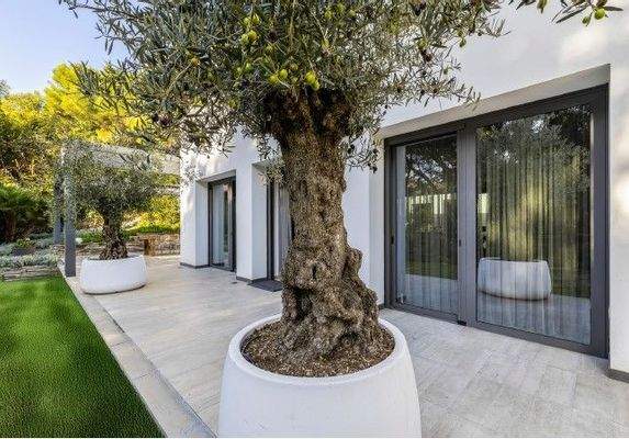 Immagine 2025-03-06 103820.jpg