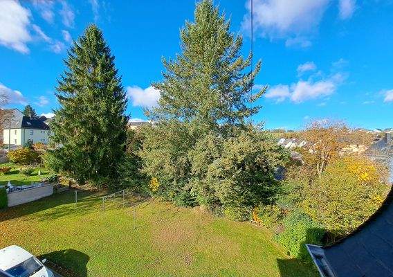 Ausblick ins Grüne.jpg