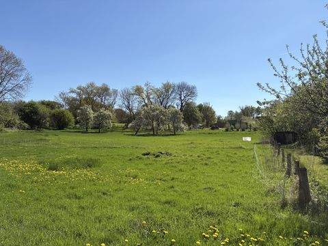 Strukdorf Bauernhöfe, Landwirtschaft, Strukdorf Forstwirtschaft