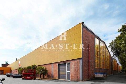 Düsseldorf Halle, Düsseldorf Hallenfläche