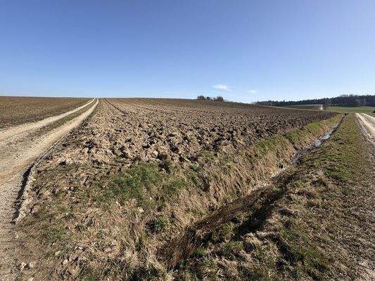 Ackerfläche Niederhausen