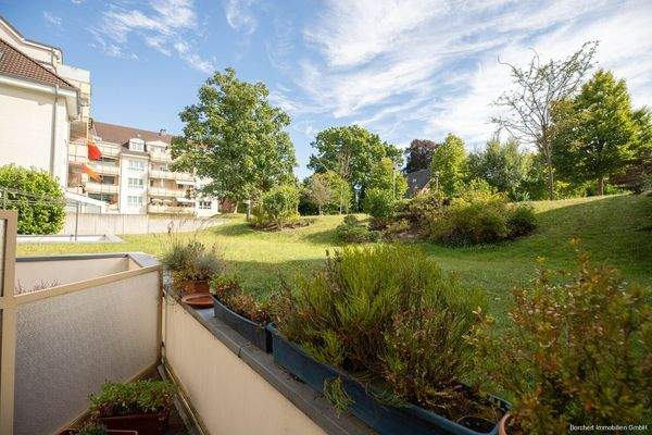 Grundstücksansicht hinter der Terrasse