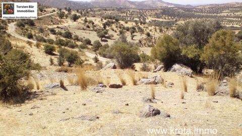 Sivas Grundstücke, Sivas Grundstück kaufen