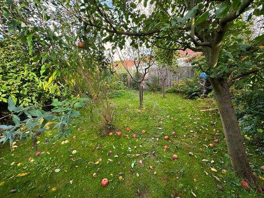 22 garten-doppelhaushaelfte-hilkerode-rkm-immobilienkontor.jpg