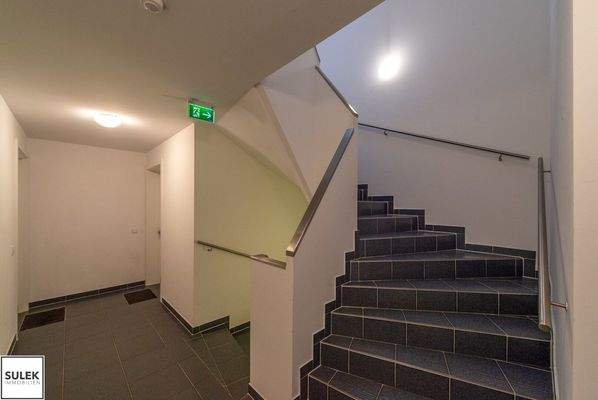 Bild 25