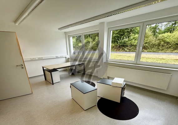 INFOS UNTER: 06171-586000