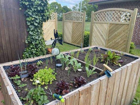 neu angelegtes Hochbeet