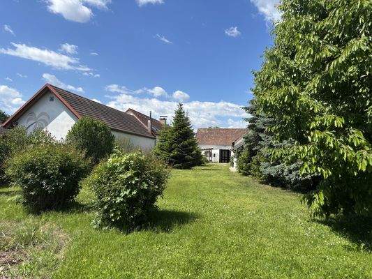 Bild 19