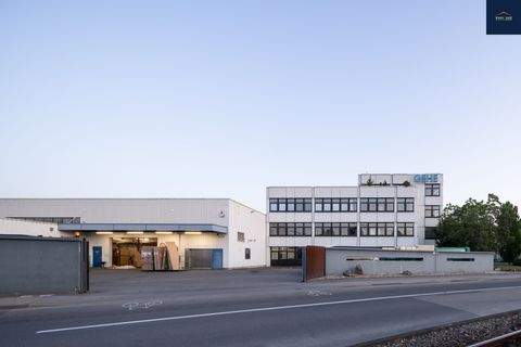 Stuttgart Halle, Stuttgart Hallenfläche