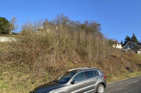 Rieneck Grundstücke, Rieneck Grundstück kaufen