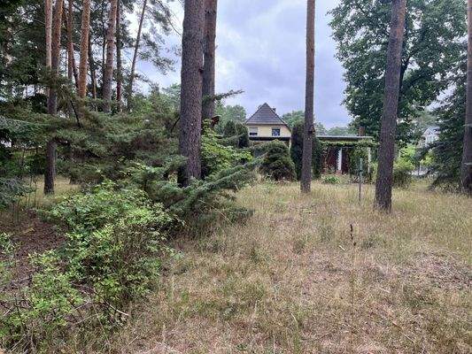 zentraler Blick Flst. 90/91