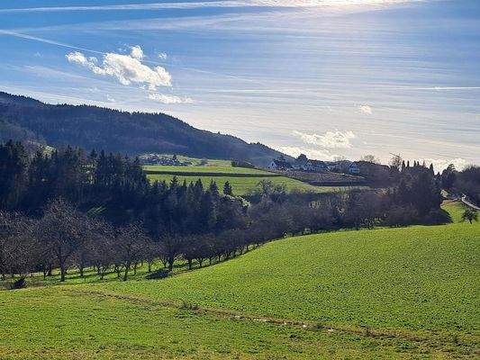 Natur gleich vor der Haustür