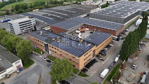 Essen Halle, Essen Hallenfläche