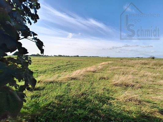 WhatsApp Image 2024-12-09 at 10.25.26