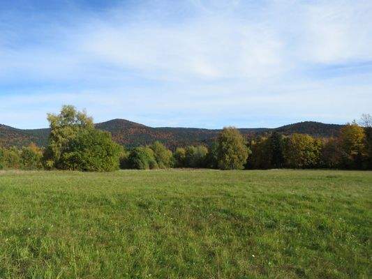 angrenzende landwirtschaftliche Flächen 