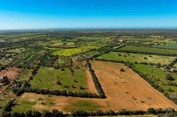 02_130_LH088CN R.Web 010