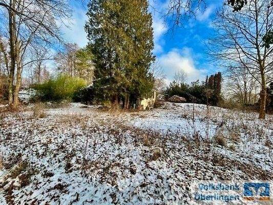 Ansicht Flurstück mit Altbestand