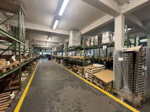 Hamburg Halle, Hamburg Hallenfläche