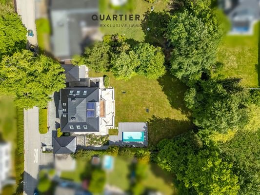 QVIII - BLICK AUIF DAS GRUNDSTÜCK
