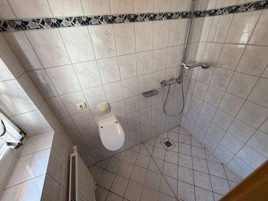 Gäste-WC mit Dusche