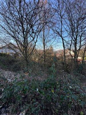 Cronenberger Straße