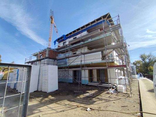 IMG_20251014_135535 (1).jpg