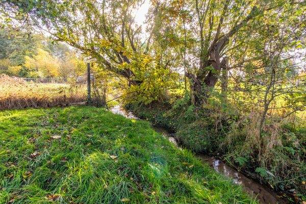 Grundstück mit Bachlauf