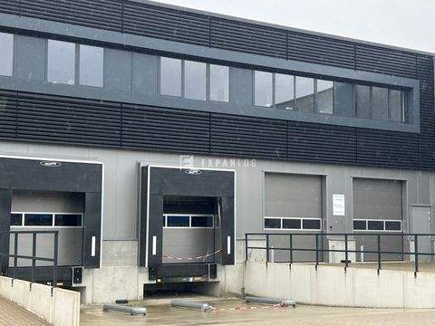 Wülfrath Halle, Wülfrath Hallenfläche