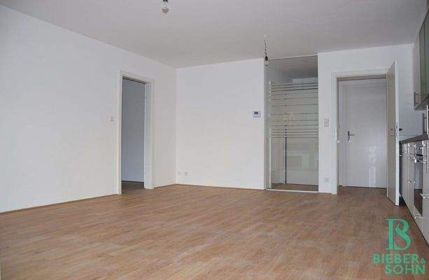 Wohnraum/Blick Vorraum/Zimmer