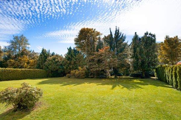 Sonniges Süd-Grundstück