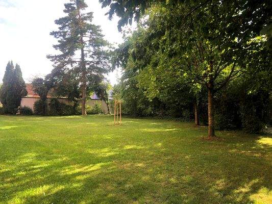 Das großzügige Grundstück