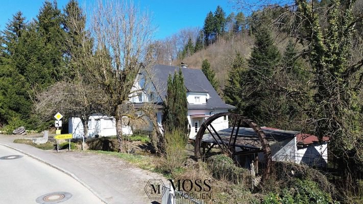 Ein Müller-Traum in weiss