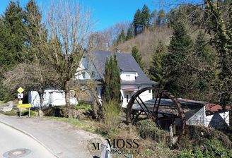 Ein Müller-Traum in weiss