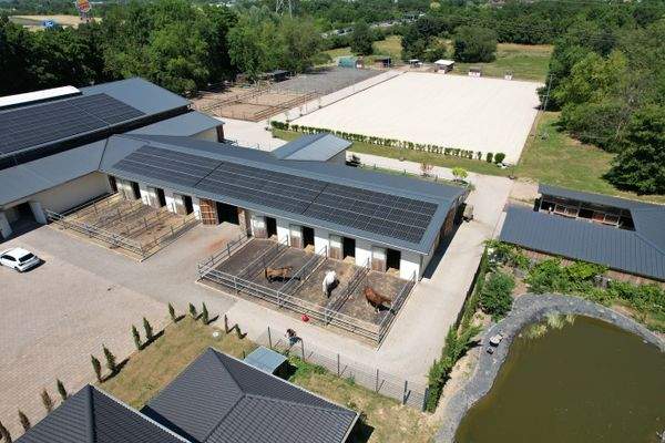 dji_fly_20250613_114008_113_1751465846493_photo.JP