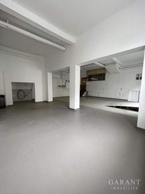 Osterhofen Halle, Osterhofen Hallenfläche