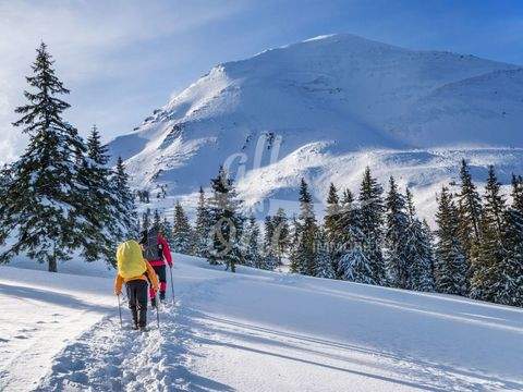 Aigen / Sankt Oswald Grundstücke, Aigen / Sankt Oswald Grundstück kaufen