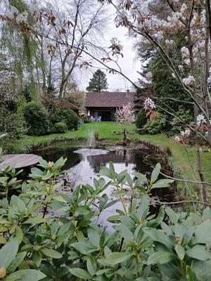 Gartenteich