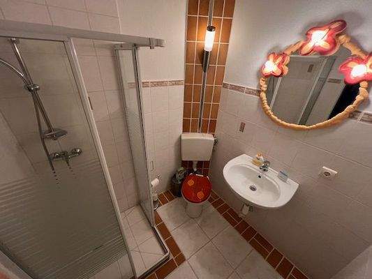 Einliegerwohnung Duschbad