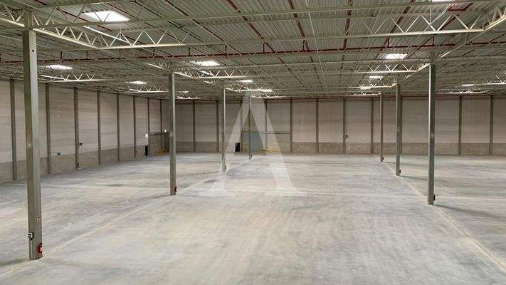 Beispielansicht Halle