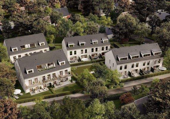 Vogelperspektive neu.jpg