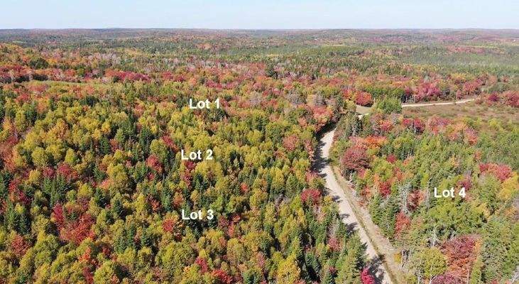 Nova Scotia - West Side Country Harbour - Preiswer