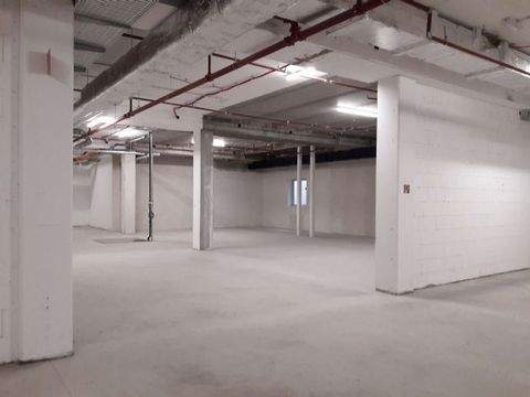 Cottbus Halle, Cottbus Hallenfläche