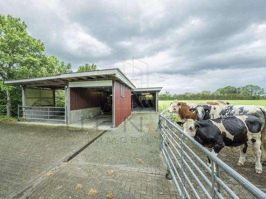 Schwenktor für die Tierführung