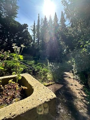 Blick in den Gartenbereich